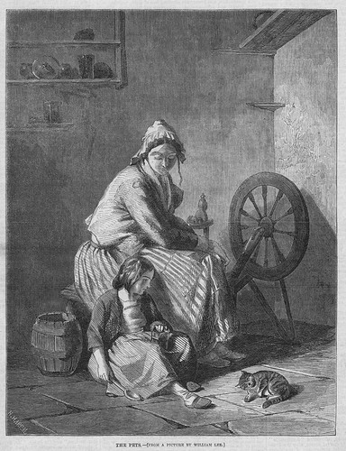The pets william lee lady - william,