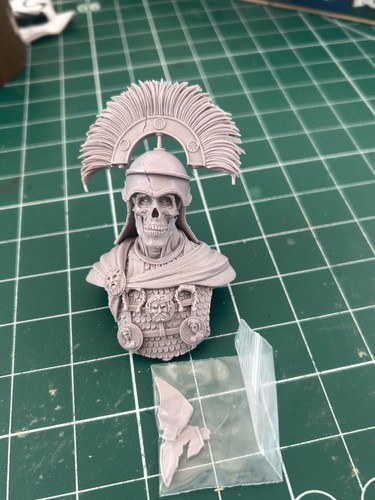 Scale roman skull soldier - scale,