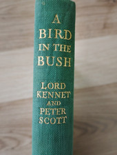 A Bird in the Bush by E