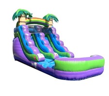 Inflatable Water Slide