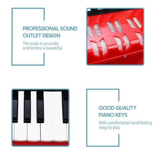 Key bass kids accordion - 17,