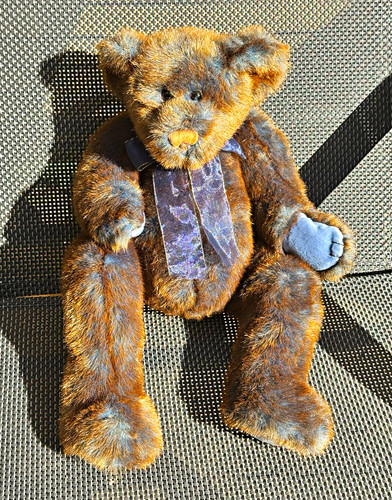 Brown broderick plush teddy - brown,