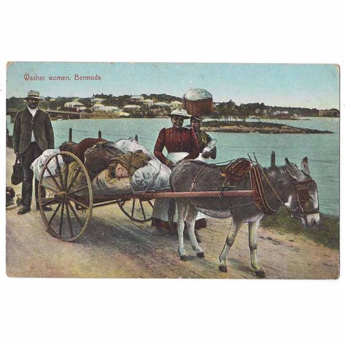 Bermuda washer women with - bermuda,