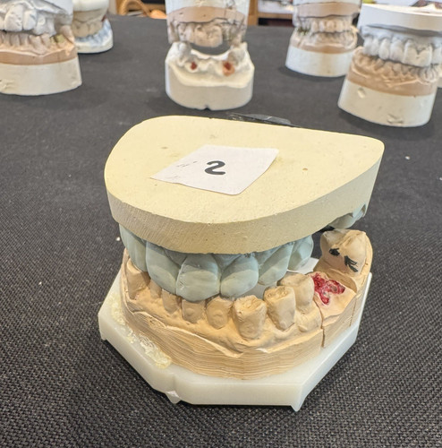Rare plaster cast impression - plaster,