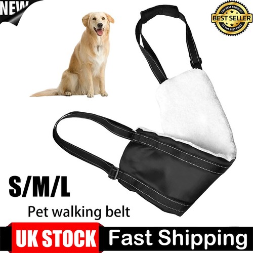 Large dog mobility aids - large,