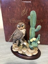 Country Artists Elf Owl