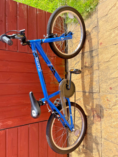 Blue rated quarter - x-rated, bmx