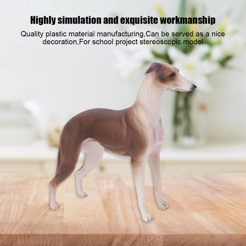 Simulation brown greyhound - simulation,