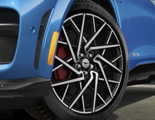 Genuine Ford Mustang Mach-E