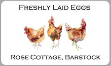 Customised Brown Chicken Hen