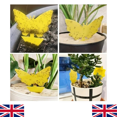 Pcs yellow sticky fly - 10-40,