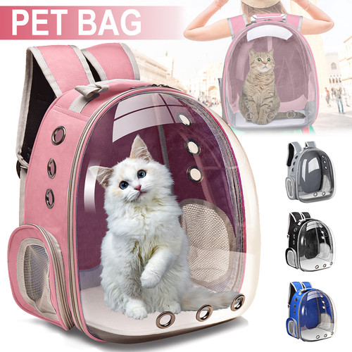 Astronaut window dog cat - astronaut,