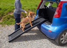 2NDS Dog Pet Ramp Plastic Folding Bi Fold Strong 4711