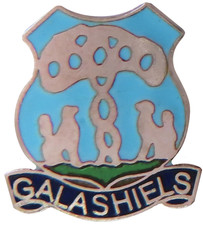 Galashiels Town Small Pin
