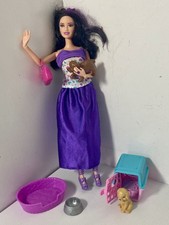 Barbie Fashionistas Raquelle +