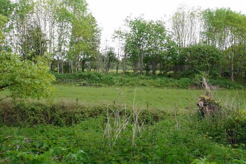 Photo 6x4 grazing - 6x4, by