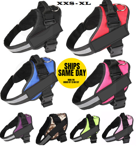 Pull dog pet - no, harness