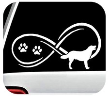 Golden Lab Labrador Infinity