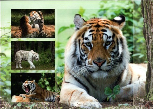 Safari park stukenbrock - park,