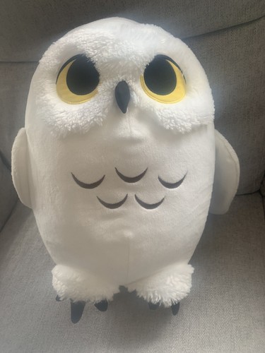 Harry potter hedwig - harry,