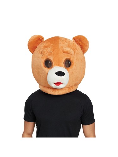 Teddy bear mascot - bear, mask