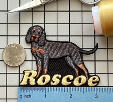 Black and Tan Coonhound Dog