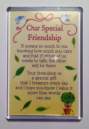 Extra large fridge magnet - fridge,