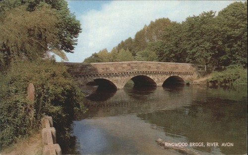 Salmon postcard ringwood - salmon,