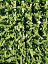 The Original Astroturf Falconry Grade!  Hawk and Falcon 30cm x 45cm