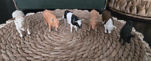 Britains farm bulls - farm, ,
