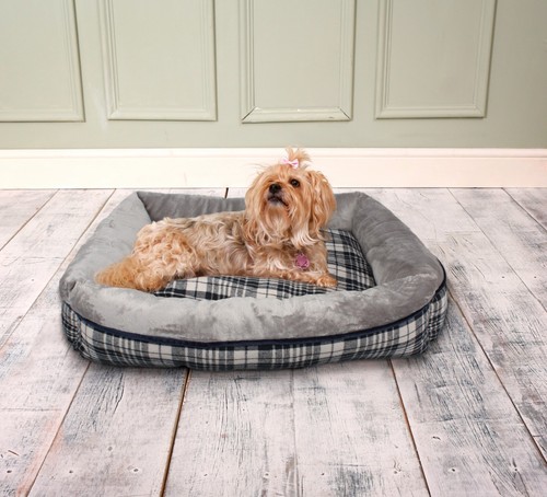 Dog bed soothing - dog,