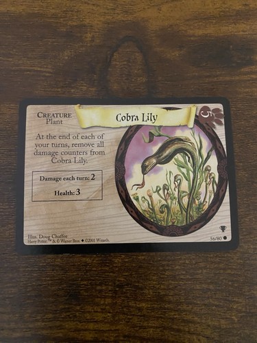 Harry potter quidditch cup - harry,