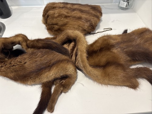Fox fur scarf - fur, set