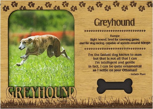 Greyhound laser engraved - greyhound,