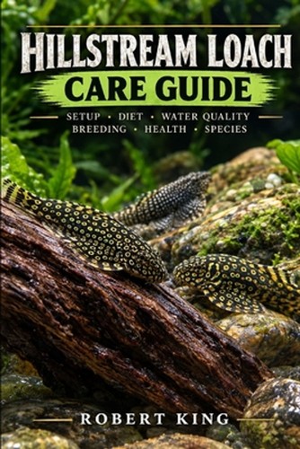 Hillstream loach care guide - hillstream,