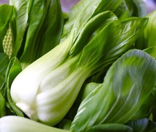 Chinese White Pak Choi - 700x