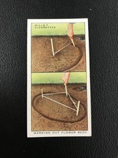 1938 Wills's Garden Hints #21