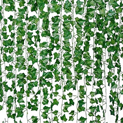 Parthenocissus leaves - parthenocissus,