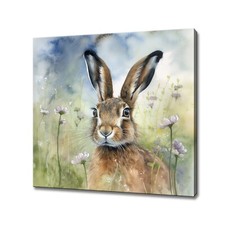 Hare meadow flowers - hare,