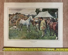 Sir Alfred Munnings Horse Sale