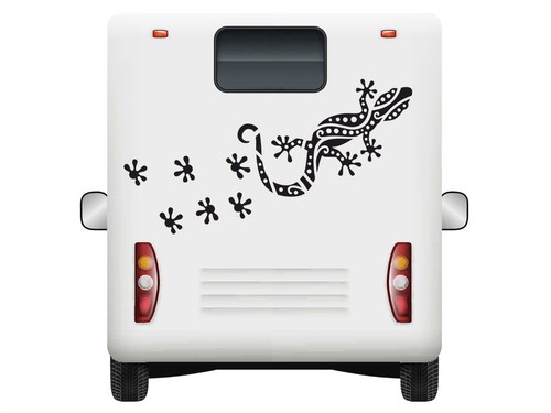 Lizard gecko car wall - car,