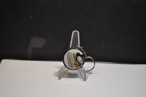Pittsburgh penguins nhl hockey - pittsburgh,