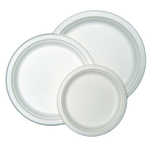 White bagasse plates - plates,