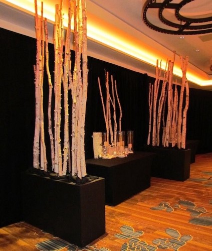 Silver birch tree sticks - silver,
