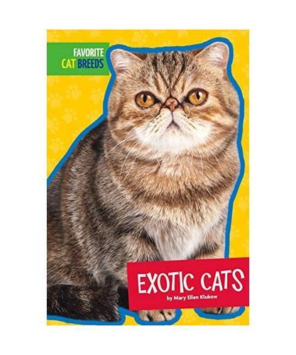 Exotic cats mary - exotic, klukow