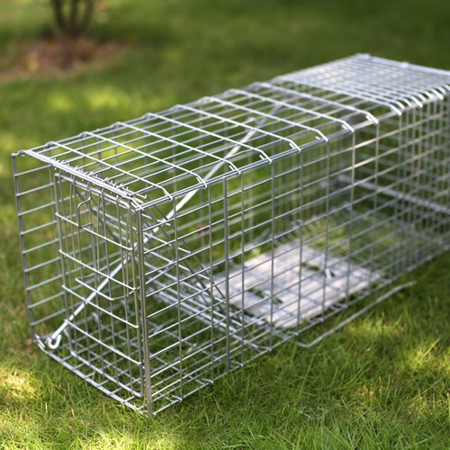Humane squirrel trap - trap, rabbit