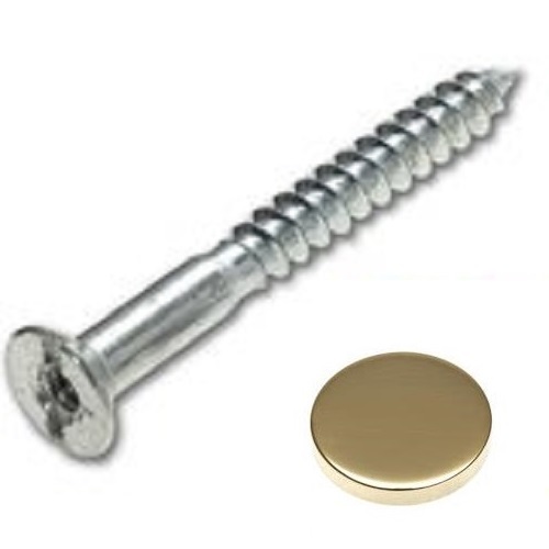 Mirror screws choose - screws,