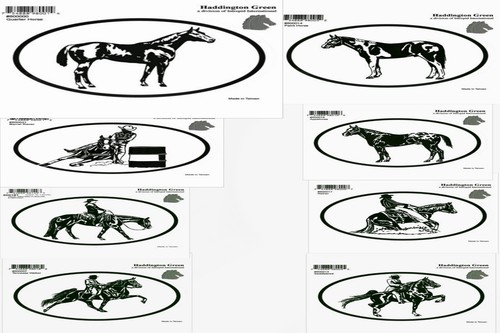 Horse sticker photo - sticker, for