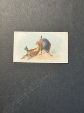 Fighting Cocks Cigarette Card (no 16)  Game Fowl