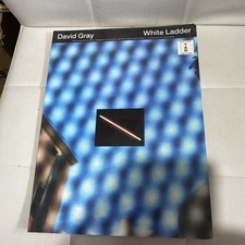 DAVID GRAY White Ladder Guitar